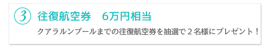 クアラルンプールまでの往復航空券6万円相当